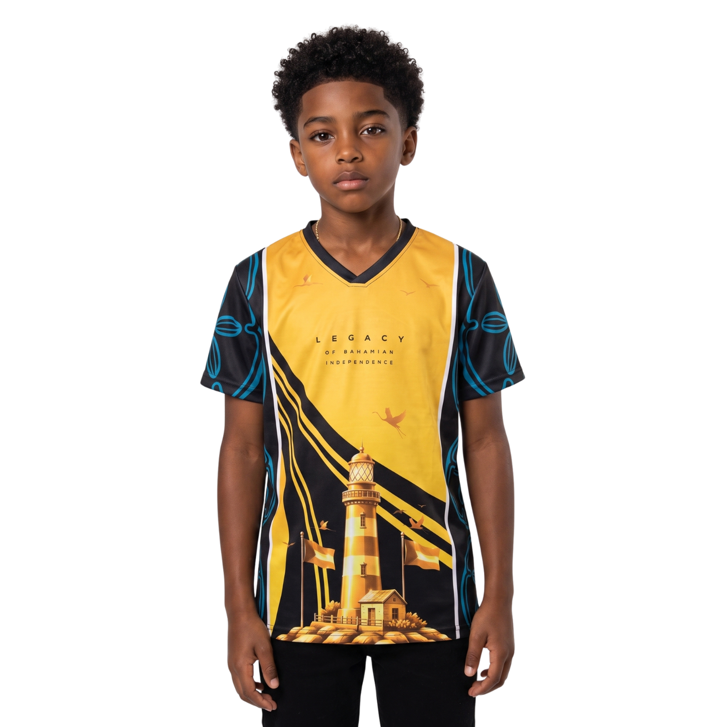 The Legacy Harvora V-Neck Tee - Black