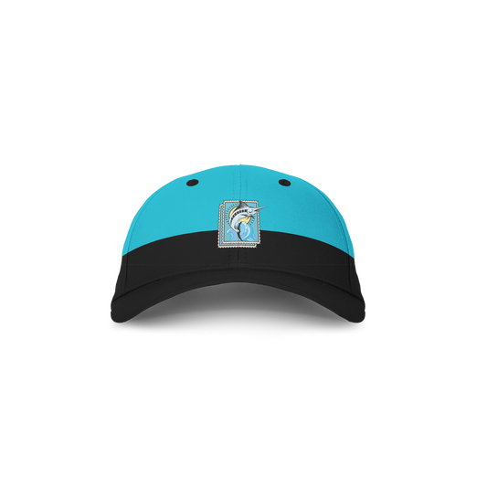 YNG Two Tone Dad Hat in Aqua